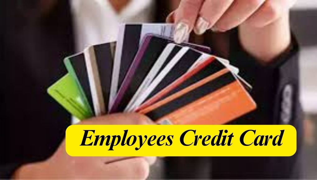 Employee Credit Card : कर्मचाऱ्यांसाठी बाजारात आले नविन क्रेडिट कार्ड ! मिळणार हे बेनिफिट्स