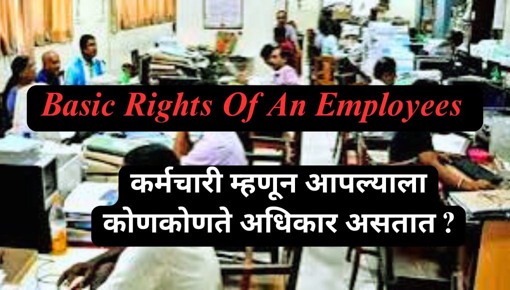 Rights Of An Employees : कर्मचारी म्हणून आपल्याला कोणकोणते अधिकार असतात ? पहा सविस्तर माहिती …